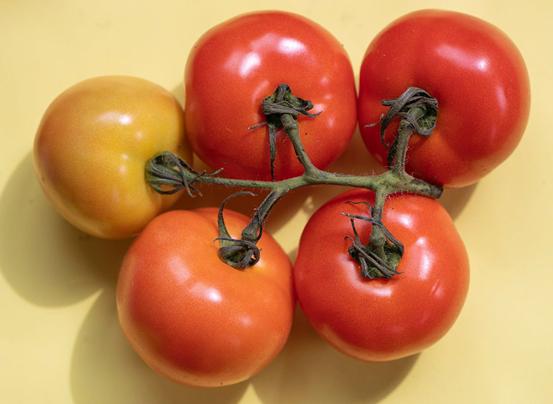 祭拜水果禁忌使用番茄拜神明跟祖先牌位